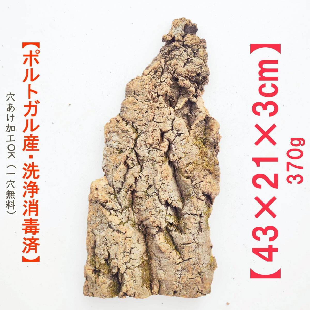 c770 お買得品 ポルトガル産 厚め コルク樹皮 コルク板 バージンコルク 送料無料 チランジア ビカクシダ 着生ラン 両生類 爬虫類拍卖