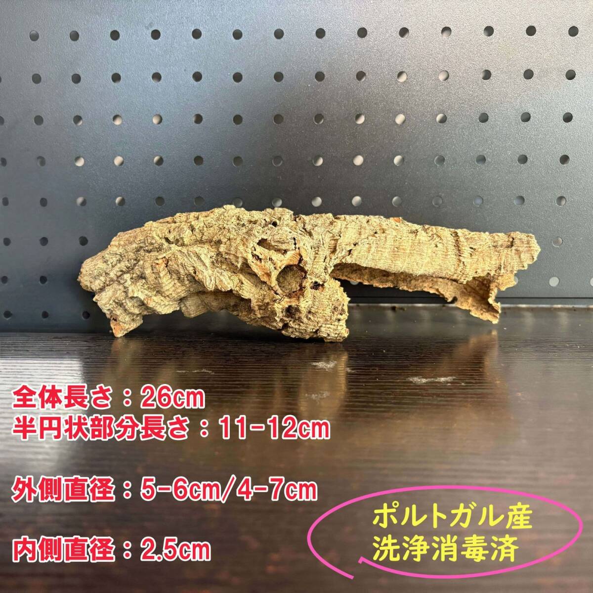 SD1005 ポルトガル産 キャノンコルク コルク樹皮 コルク板 バージンコルク 送料無料 チランジア ビカクシダ 着生ラン 両生類 爬虫類拍卖