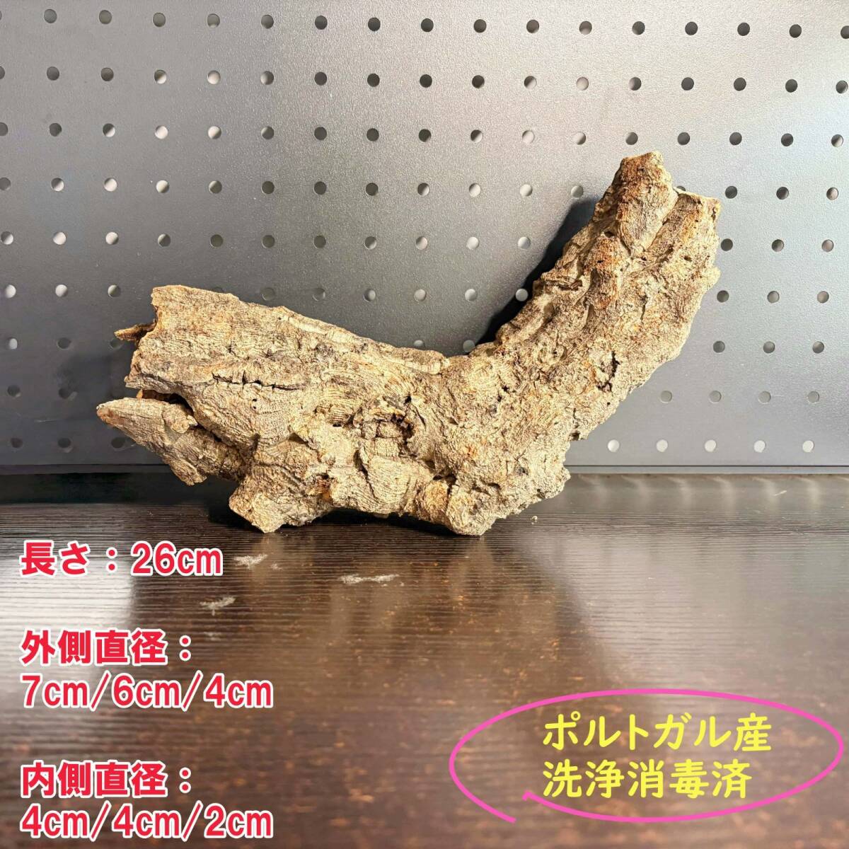 SD1006 ポルトガル産 キャノンコルク コルク樹皮 コルク板 バージンコルク 送料無料 チランジア ビカクシダ 着生ラン 両生類 爬虫類拍卖