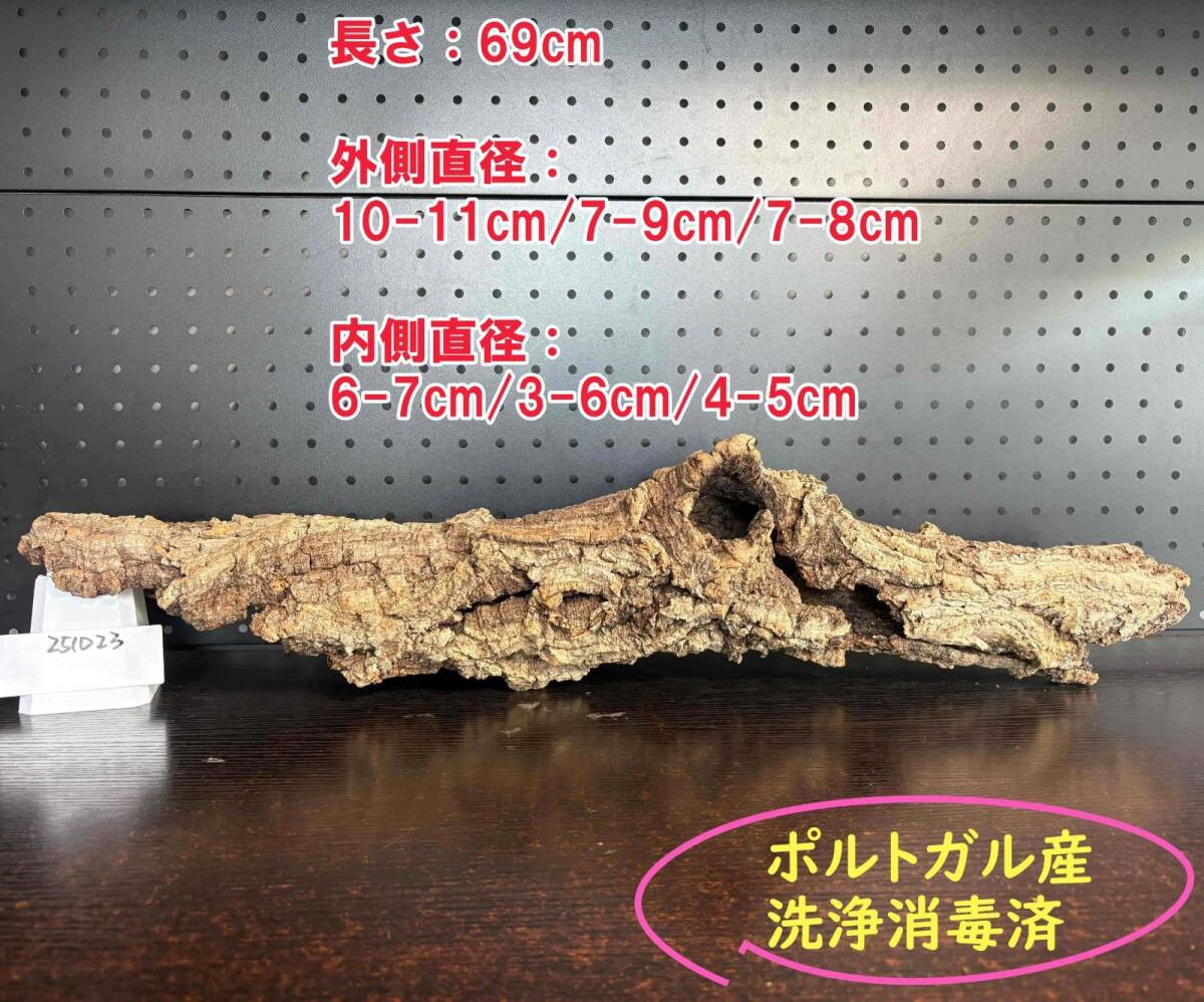 251023 ポルトガル産 キャノンコルク コルク樹皮 コルク板 バージンコルク 送料無料 チランジア ビカクシダ 着生ラン 両生類 爬虫類拍卖