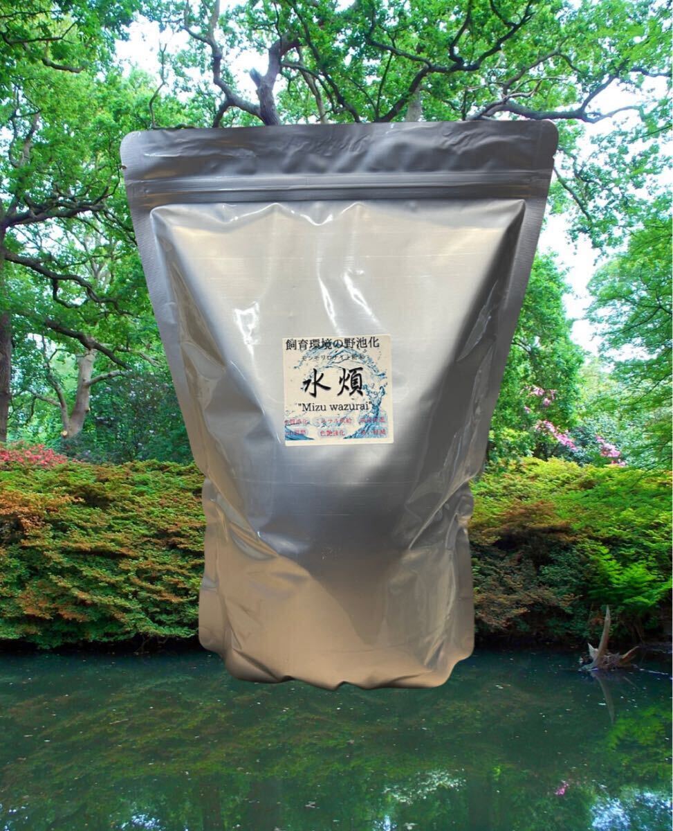大容量タイプ 水煩 Mizuwazurai 5kg拍卖