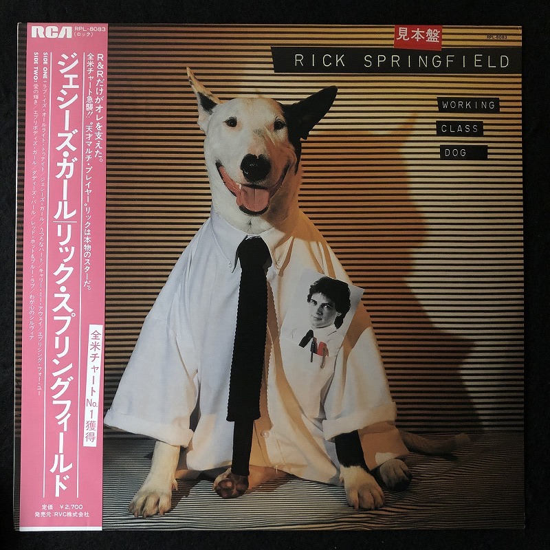 美品 プロモ 見本品 / リック・スプリングフィールド「ジェシーズ・ガール」WORKING CLASS DOG / RICK SPRINGFIELD / 帯付き拍卖