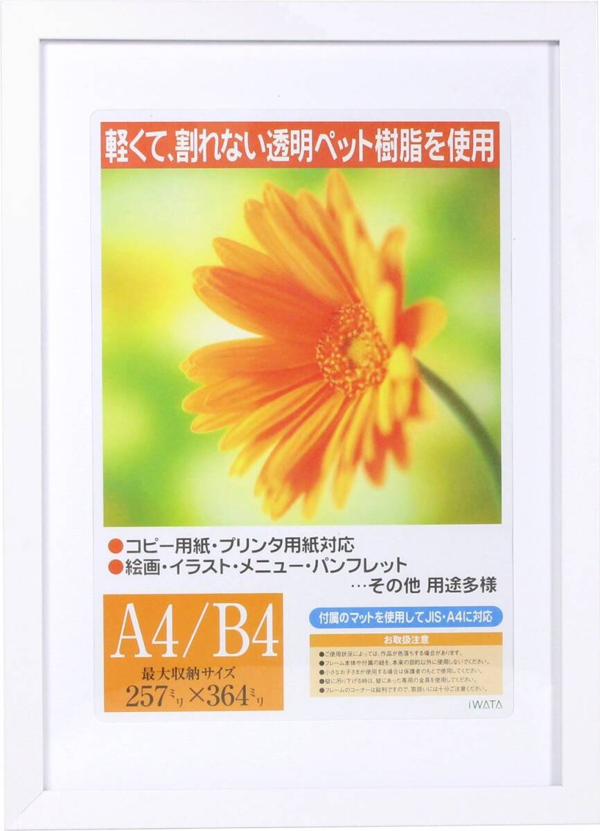 イワタ 額縁 ガーベラ A4/B4 木製 ホワイト GM-154W-B4拍卖