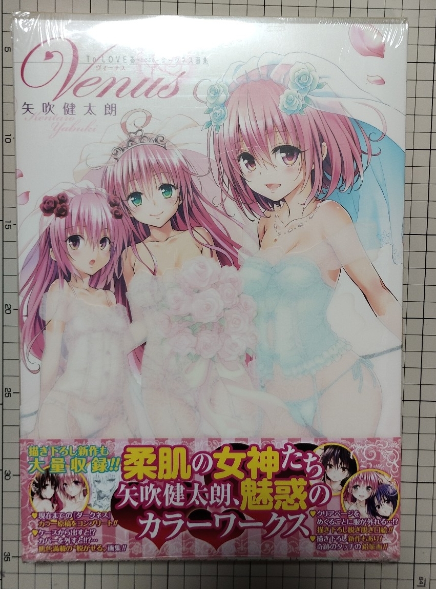 【シュリンク未開封品】ToLOVEる ダークネス 画集 本 BOOK拍卖
