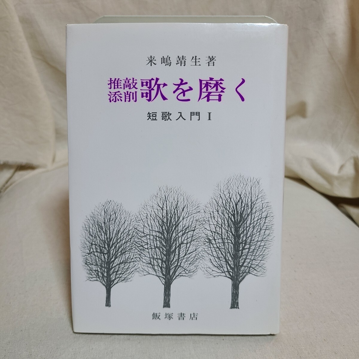 来嶋靖生「推敲添削 歌を磨く 短歌入門Ⅰ」(飯塚書店、1994年) 詩歌/沖ななも/松平盟子拍卖