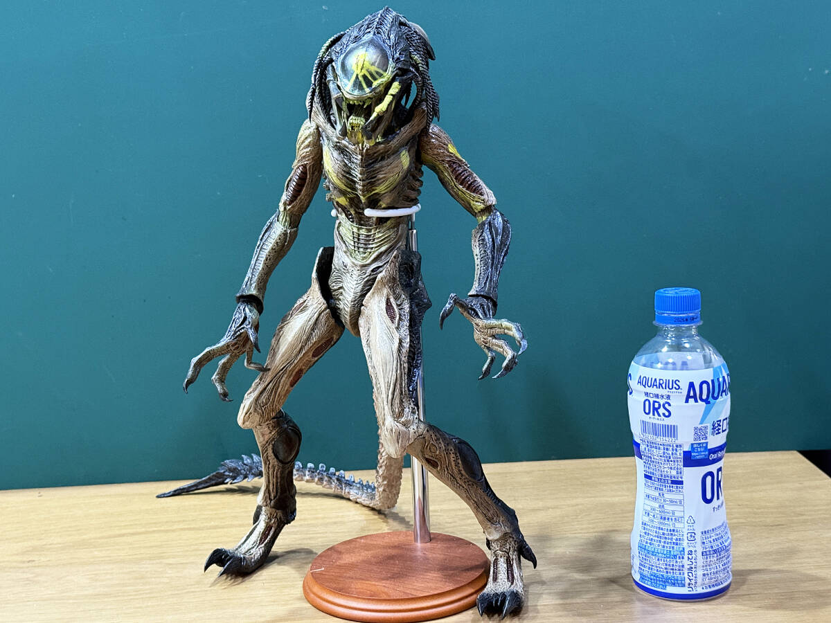 Hottoys ホットトイズ ムービー・マスターピース プレデリアン ダメージ版 AVP2 難あり 拍卖