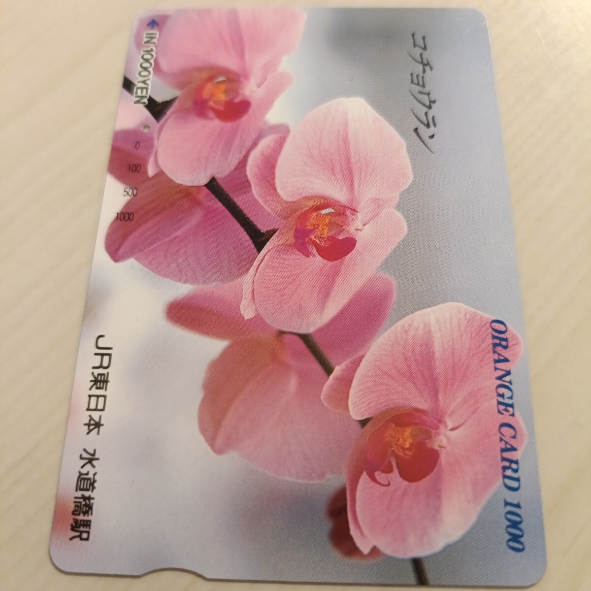 使用済JR東日本オレンジカード コチョウラン1穴拍卖