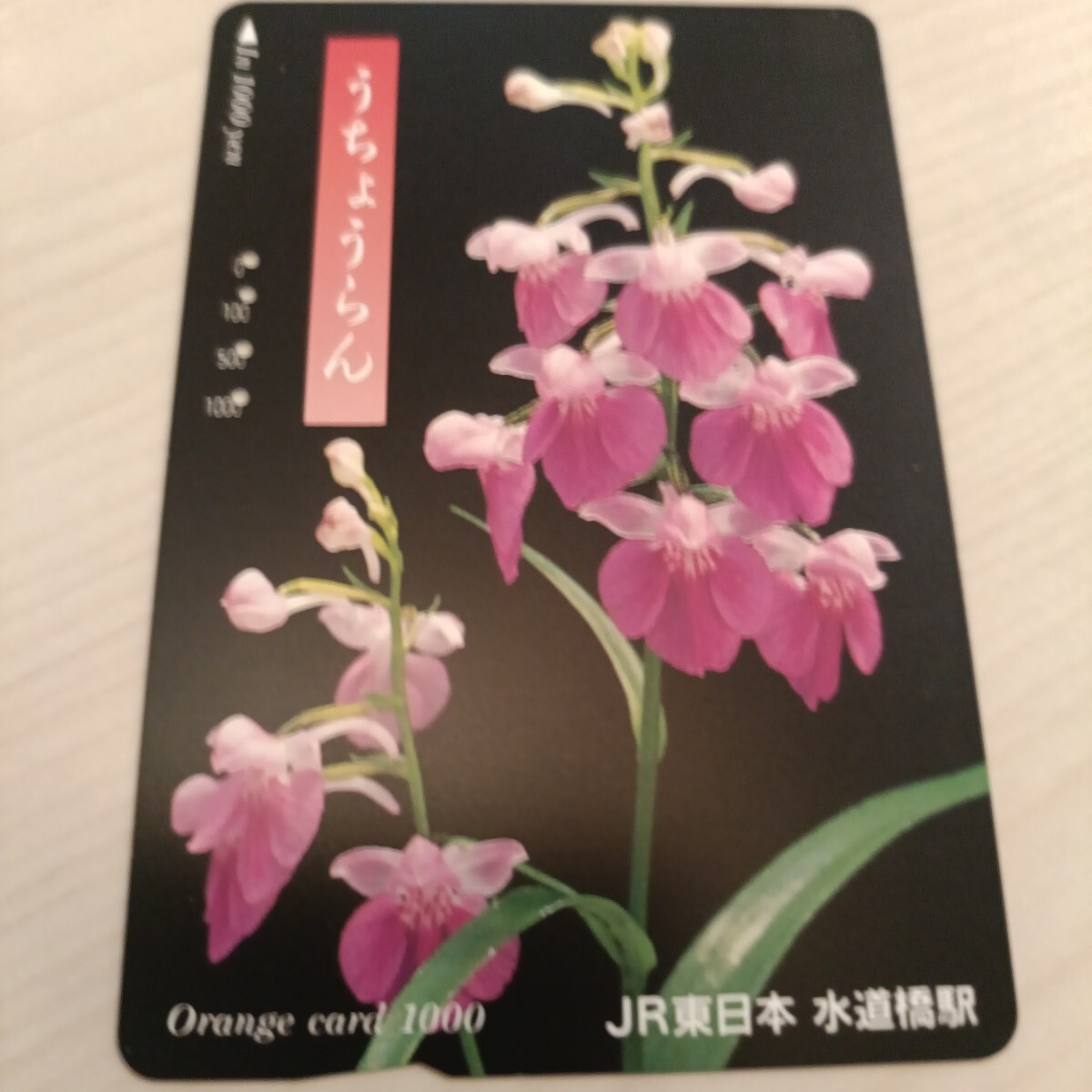 使用済JR東日本オレンジカード うちょうらん拍卖