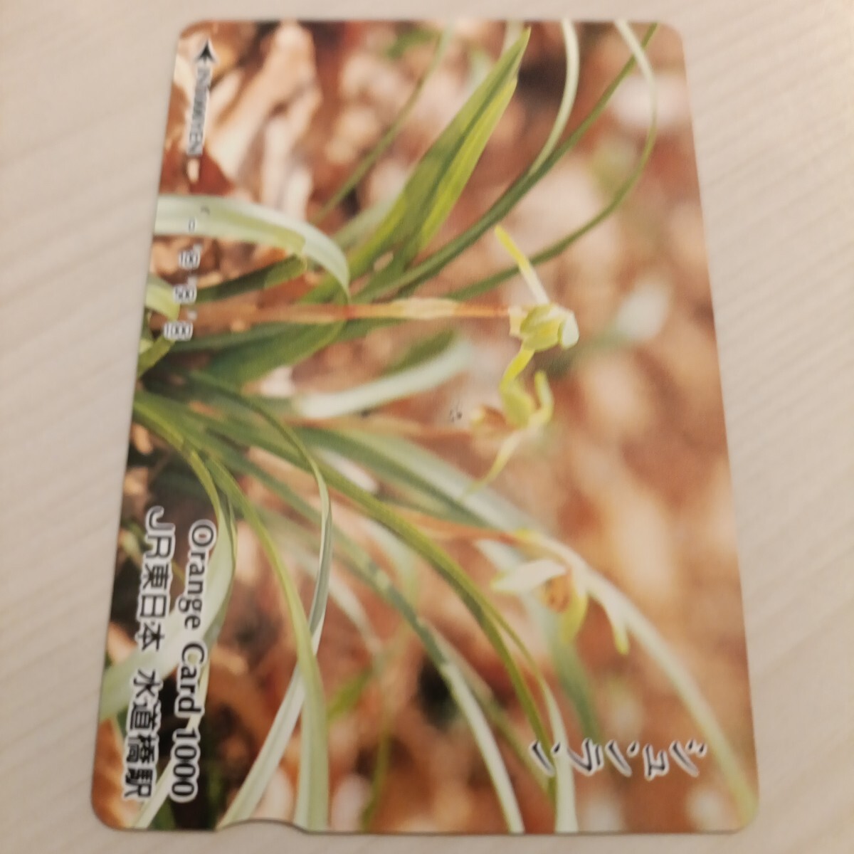 使用済JR東日本オレンジカード シュンラン拍卖