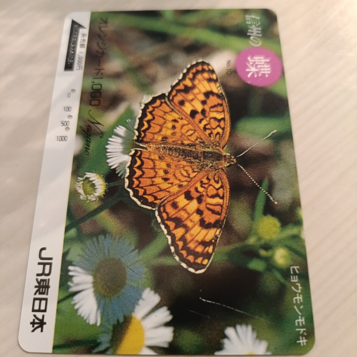 使用済JR東日本オレンジカード 信州の蝶⑩拍卖