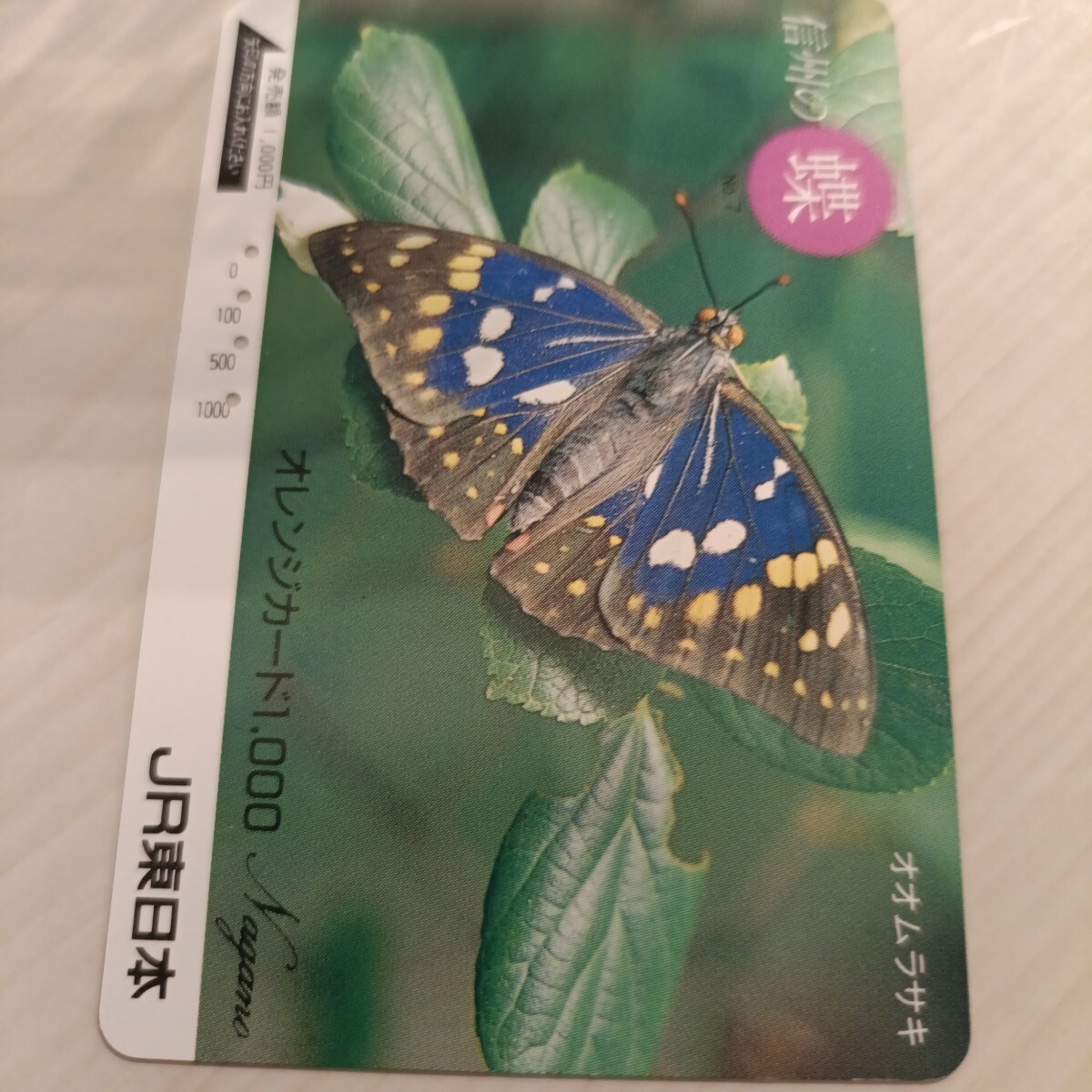 使用済JR東日本オレンジカード 信州の蝶⑦拍卖