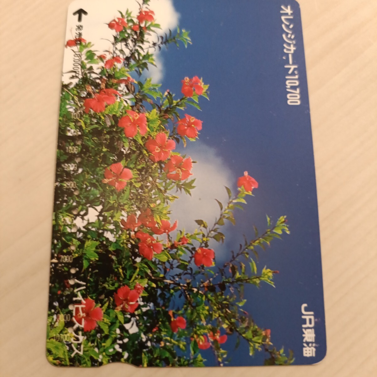 使用済JR東海オレンジカード ハイビスカス拍卖