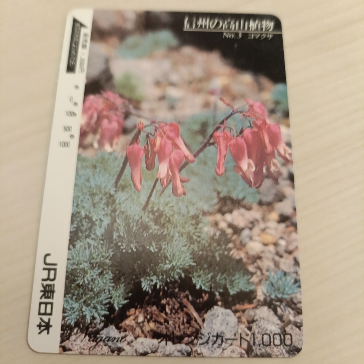 使用済JR東日本オレンジカード 信州の高山植物③拍卖