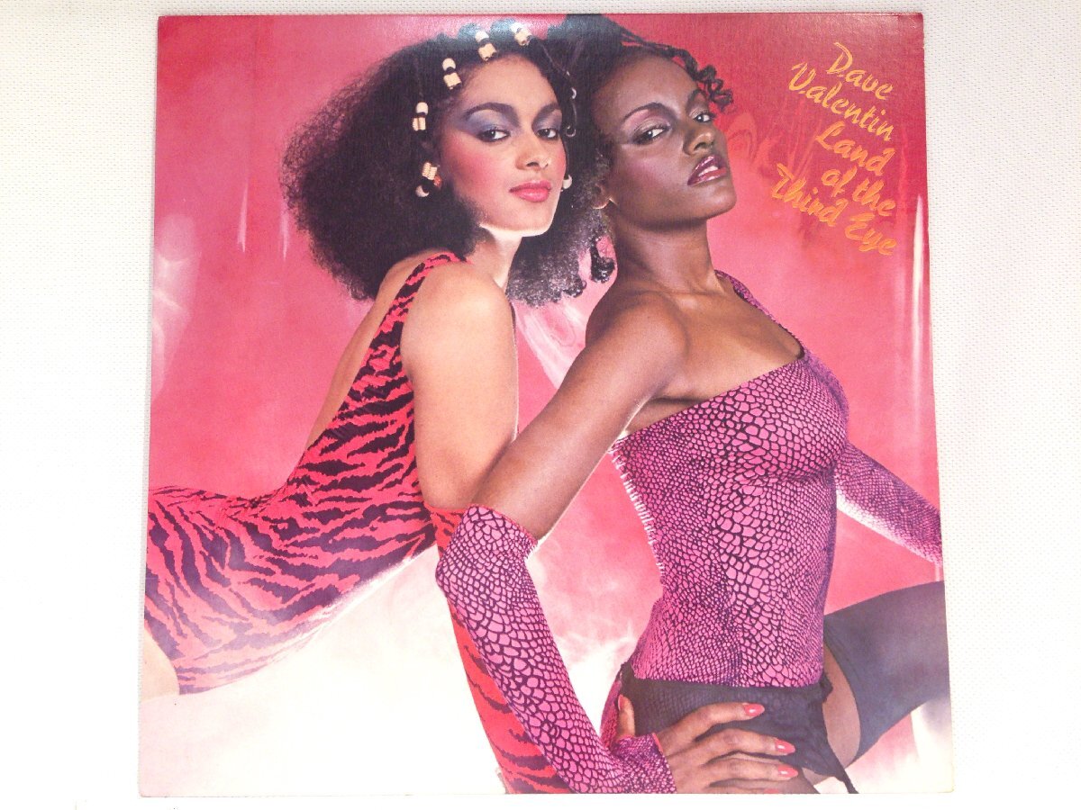 ●●64●LPレコード / Land of the Third Eye / Dave Valentin / デイヴ・ヴァレンティン / JAZZ ジャズ拍卖