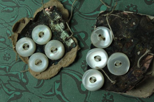 即決 シェルボタン 8個 φ9 & 10mm 台紙 シート 貝ボタン 2穴 ホイッスル ヴィンテージ リメイク フランス輸入拍卖