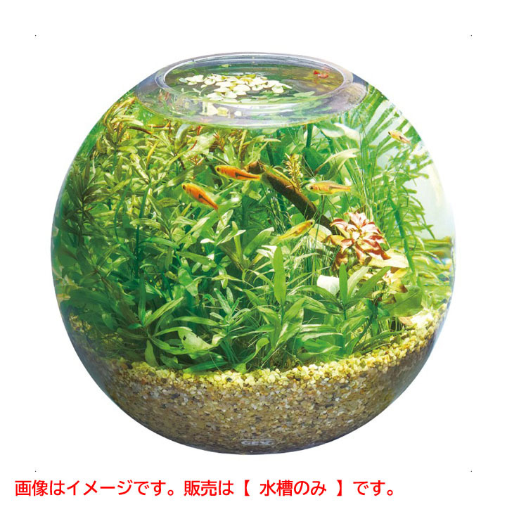 D8234YO ◆1110_4凹【アウトレット品】MeGreen 新鮮な水草付き ジェックス グラスアクアスフィアセット 水槽セット 未使用 ペット用品拍卖