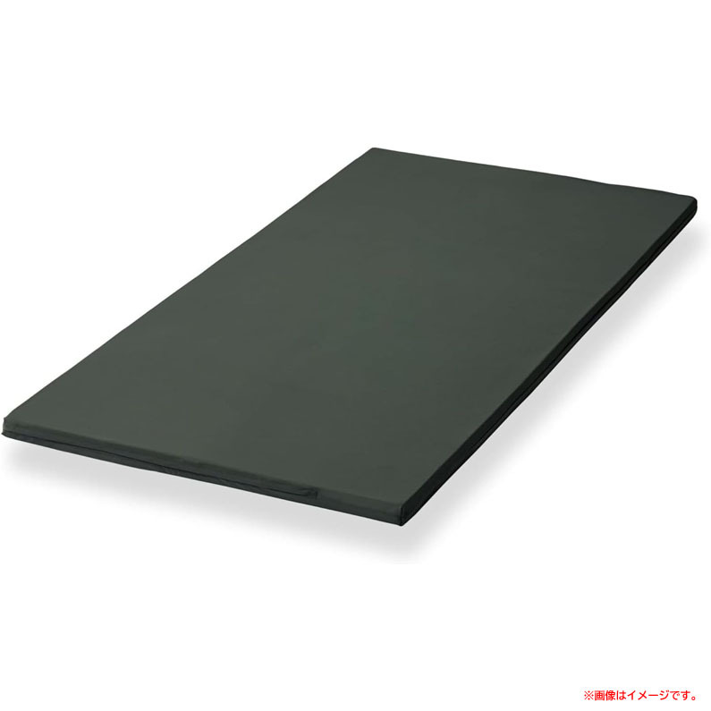 D8975YO ◆1110_1凹【アウトレット品】マットレス シングル 低反発 ショップジャパン トゥルースリーパー プレミアム 未使用 寝具拍卖