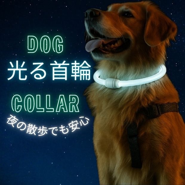 光る首輪 犬 首輪 光る おしゃれ 犬用 犬の首輪 LED ライト ペット用拍卖