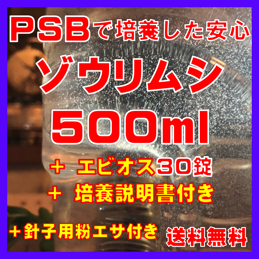 ★送料無料★PSBで培養したゾウリムシ種水500ml+エビオス30錠+培養説明書+針子用粉エサ。拍卖