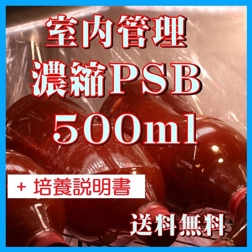 ★送料無料★ 室内管理濃縮培養PSB500ml+PSB培養説明書 光合成細菌 水質調整、バクテリア、めだか・金魚・熱帯魚などに最適。拍卖