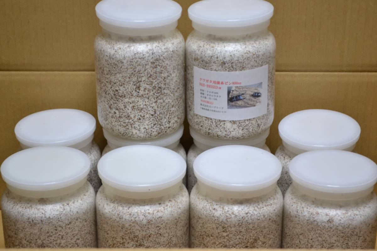 オオヒラタケ菌糸 800cc 10本 BEE BREED 25 拍卖