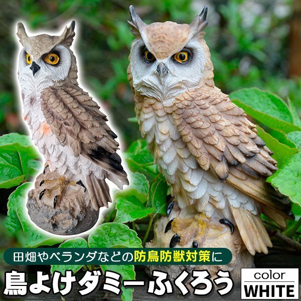 フクロウ 鳥よけ 鳩よけ 鳥対策 防鳥 防獣 対策 防鳥具 ホワイト 本物そっくり ダミー 鳥よけグッズ 置物 オーナメント 装飾 ディスプレイ拍卖