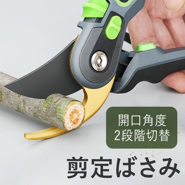 剪定ばさみ 剪定鋏 剪定ハサミ 園芸ばさみ 枝切ハサミ 枝切ばさみ フッ素コーティング 錆びにくい ガーデニング グリーン拍卖