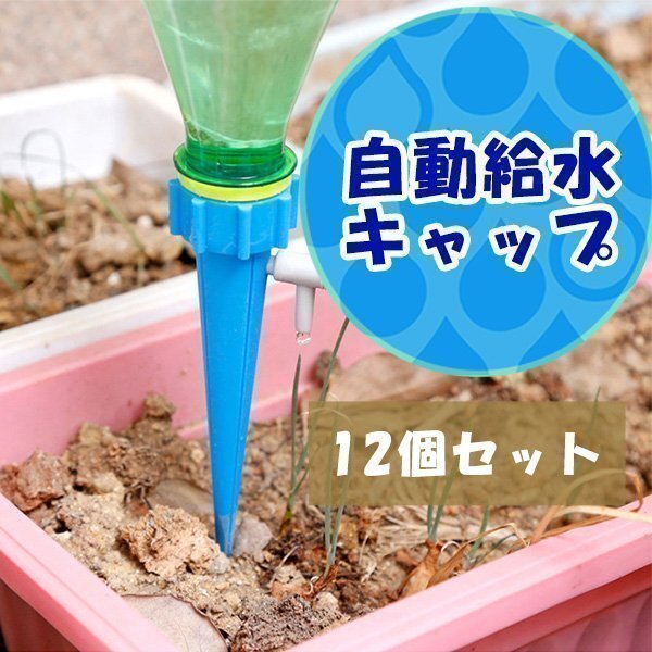 自動給水キャップ 12個セット じょうろ ペットボトル 自動水やり器 水やり当番 自動給水器 自動散水 ガーデニング 園芸 花壇拍卖
