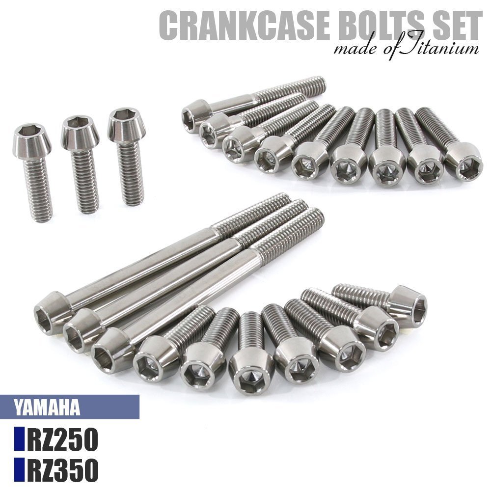 チタンボルト ヤマハ RZ250 RZ350専用 クランクケース エンジンカバー ボルト セット 22本 シルバー 軽量化 カスタム チタン拍卖
