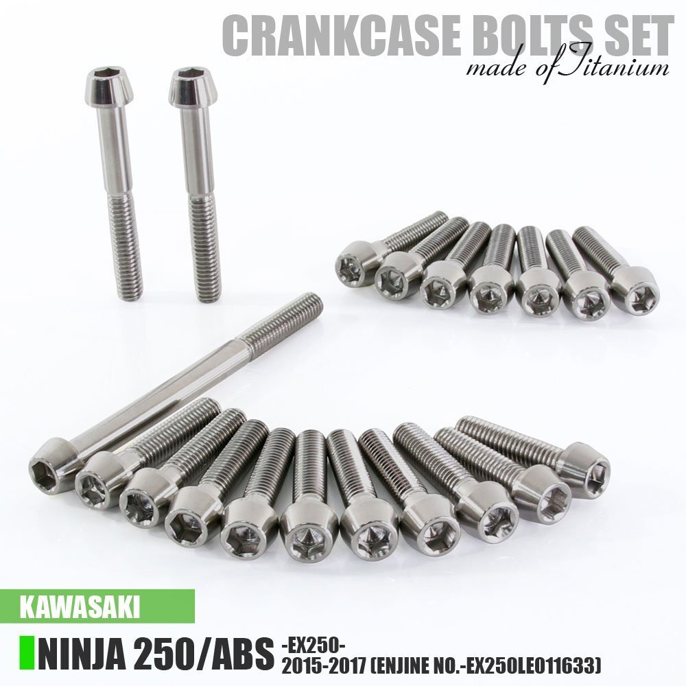 チタンボルト カワサキ Ninja250/ABS専用 ニンジャ250 EX250 2015-2017(- EX250LE011633) クランクケース エンジンカバー 20本 シルバー拍卖