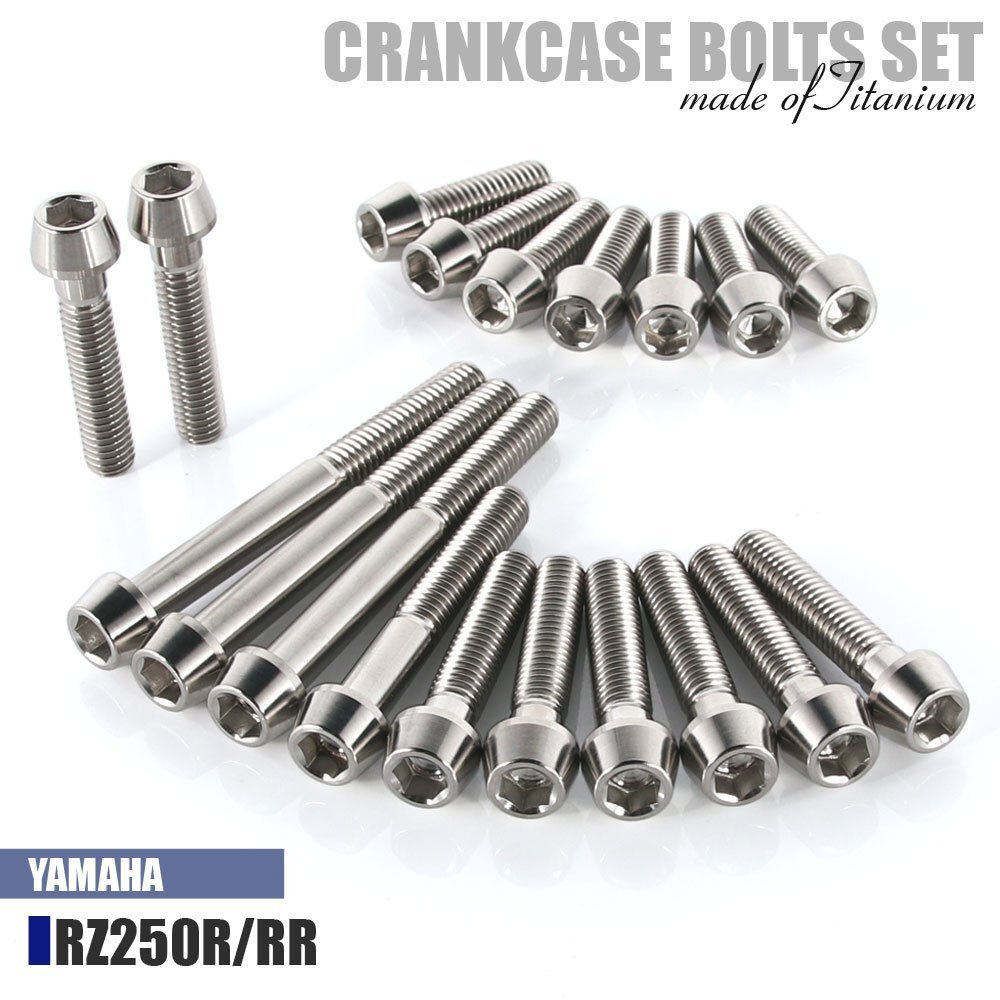 チタンボルト ヤマハ RZ250R/RR専用 クランクケース エンジンカバー ボルト セット 19本 シルバー 軽量化 カスタム拍卖