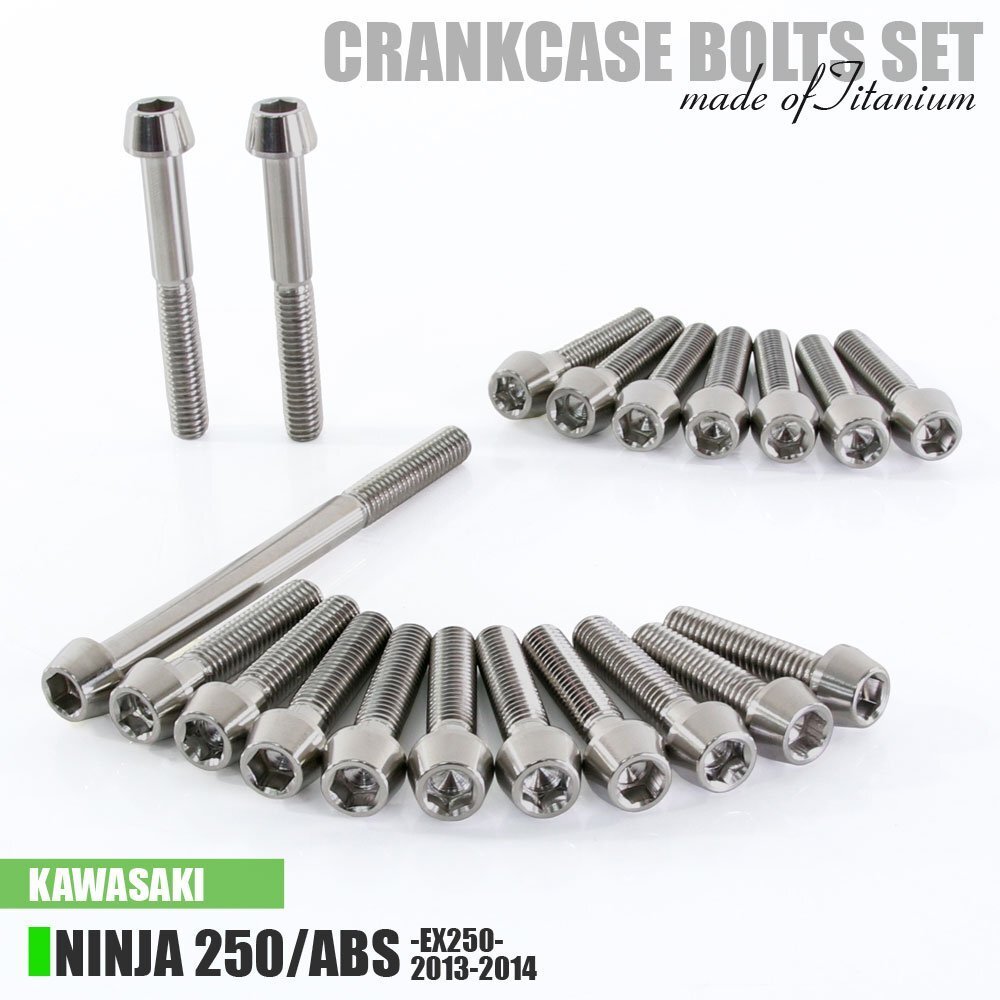 チタンボルト カワサキ Ninja250/ABS専用 ニンジャ250 EX250 2013-2014 クランクケース エンジンカバー ボルト セット 20本 シルバー ネジ拍卖