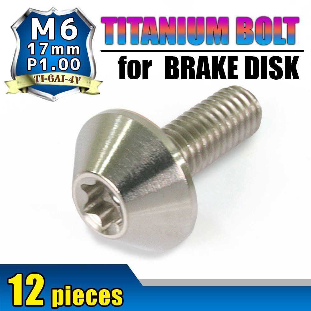 メール便OK!M6×17 P1.00 チタンボルト ブレーキディスクボルト 12本セット 6mm 17mm ピッチ1.0 ホンダ CBR600 CBR900 CBR929 CBR954 DN01拍卖
