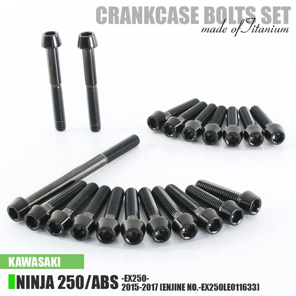 チタンボルト カワサキ Ninja250/ABS専用 ニンジャ250 EX250 2015-2017(- EX250LE011633) クランクケース エンジンカバー 20本 ブラック拍卖