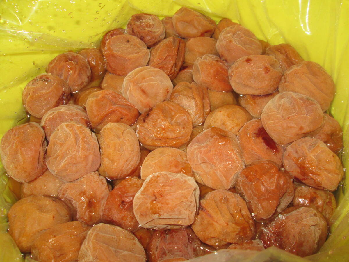 <訳あり> 無添加 紀州南高梅白干し 4L切れ 約2.5キロ拍卖