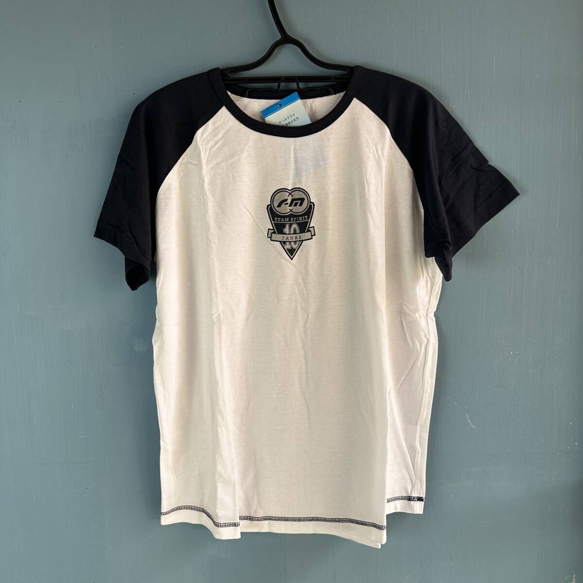 riese and muller RM Tシャツ BD-1 ビンテージ拍卖