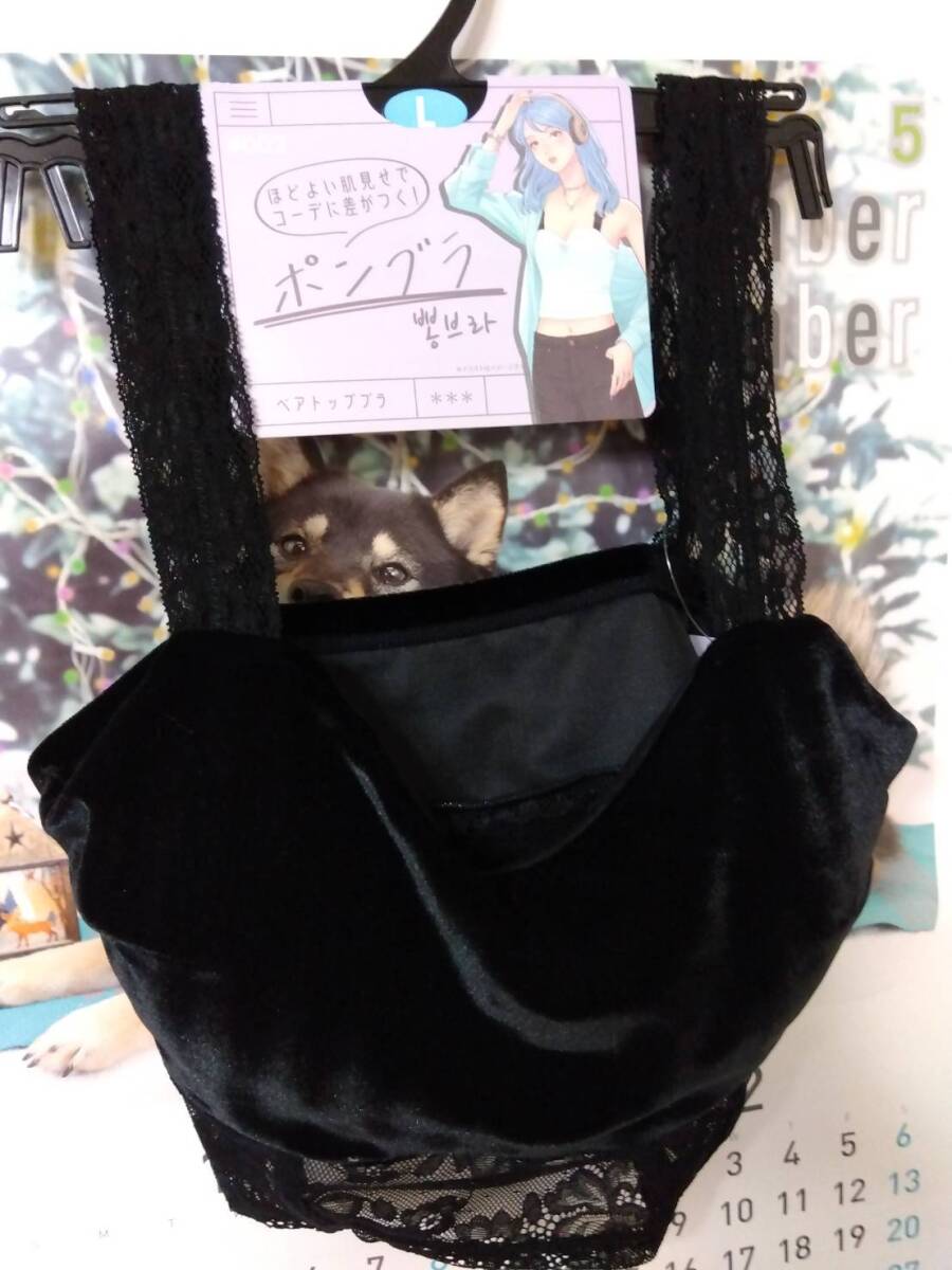 ポンブラ☆こんなの欲しかった!ほどよい肌見せでコーデに差がつく!レースが素敵なブラ!クリスマスプレゼントにも!デートやダンスに拍卖