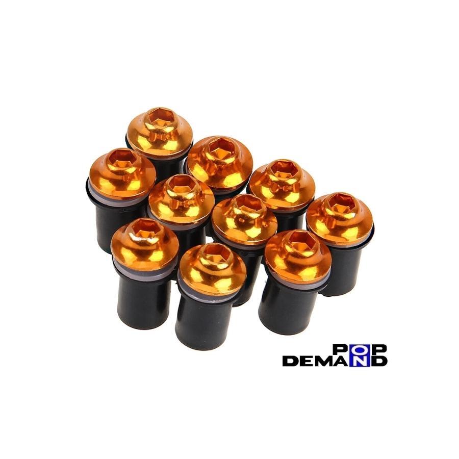 ◆即日発送◆汎用 金 スクリーンボルト ウェルナット カウルネジ 10個セット Ninja ZX-10R ZX-10R SE ZX-10RR ZX-14R ZX-6R ZX-11拍卖