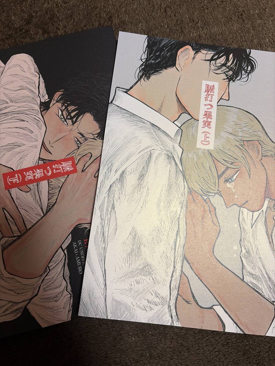 名探偵コナン 同人誌 赤安マンガ2冊セット 赤井×安室 脈打つ果実 上下巻拍卖