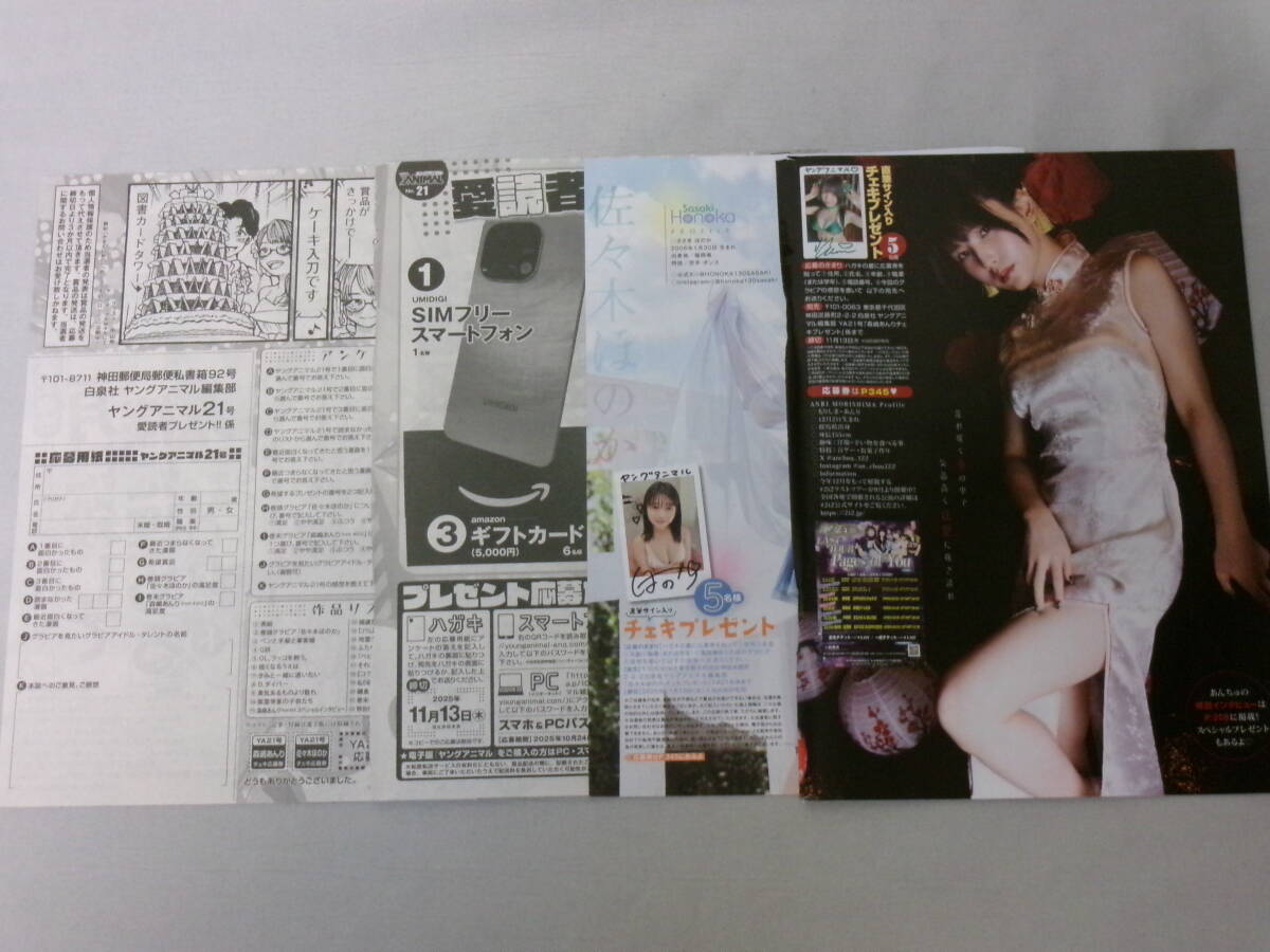 ヤングアニマル21号 アンケートプレゼント応募用紙 サイン入りチェキ応募券 佐々木ほのか 森嶋あんり from #2i2拍卖