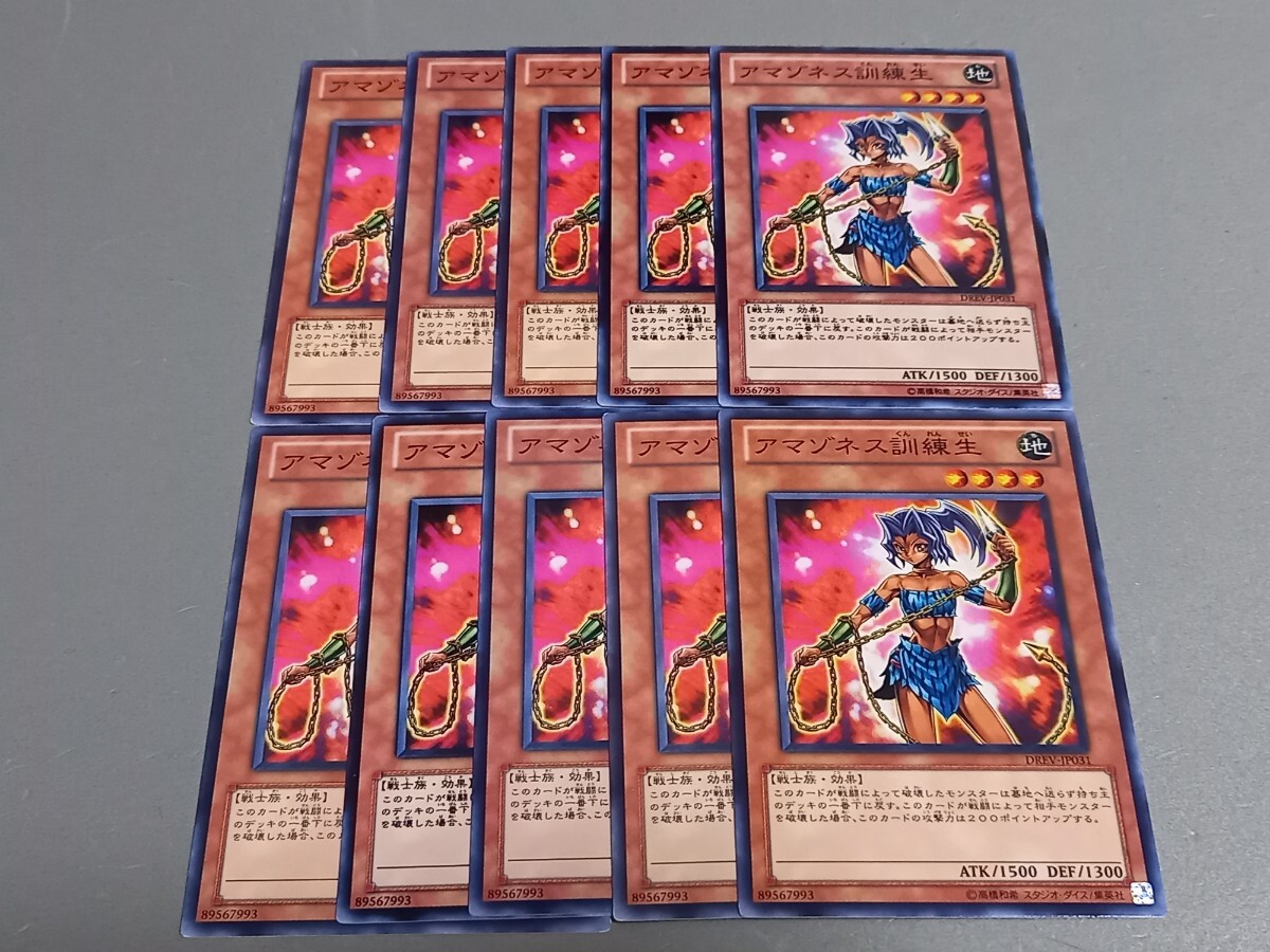 アマゾネス訓練生 ★ DREV-JP031 ★ ノーマル ★ 10枚セット ★ 日本語版 ★ 遊戯王 ★ 同梱可 拍卖