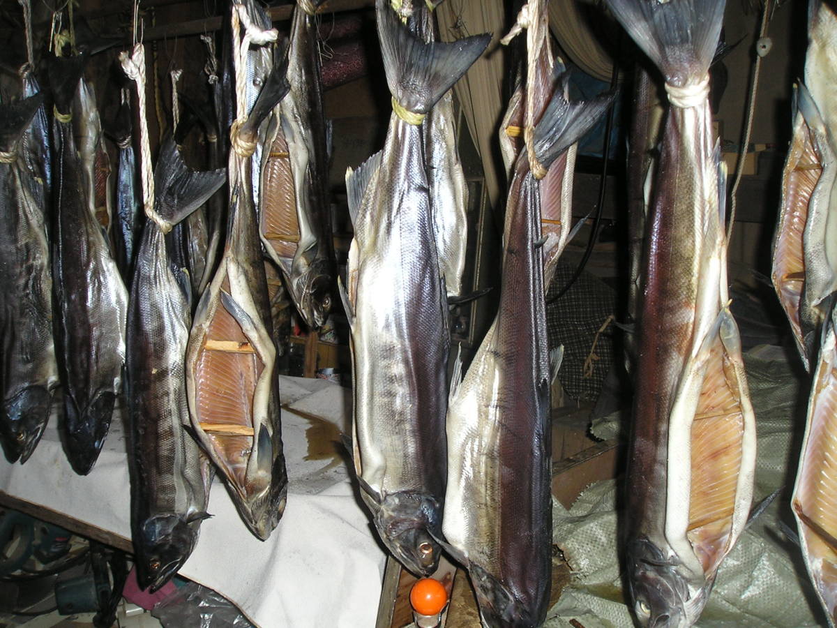 〈1〉 超特価 熟成寒風干し 村上産 新巻鮭2.2~2.5k1本物(進物箱サ-ビス)拍卖