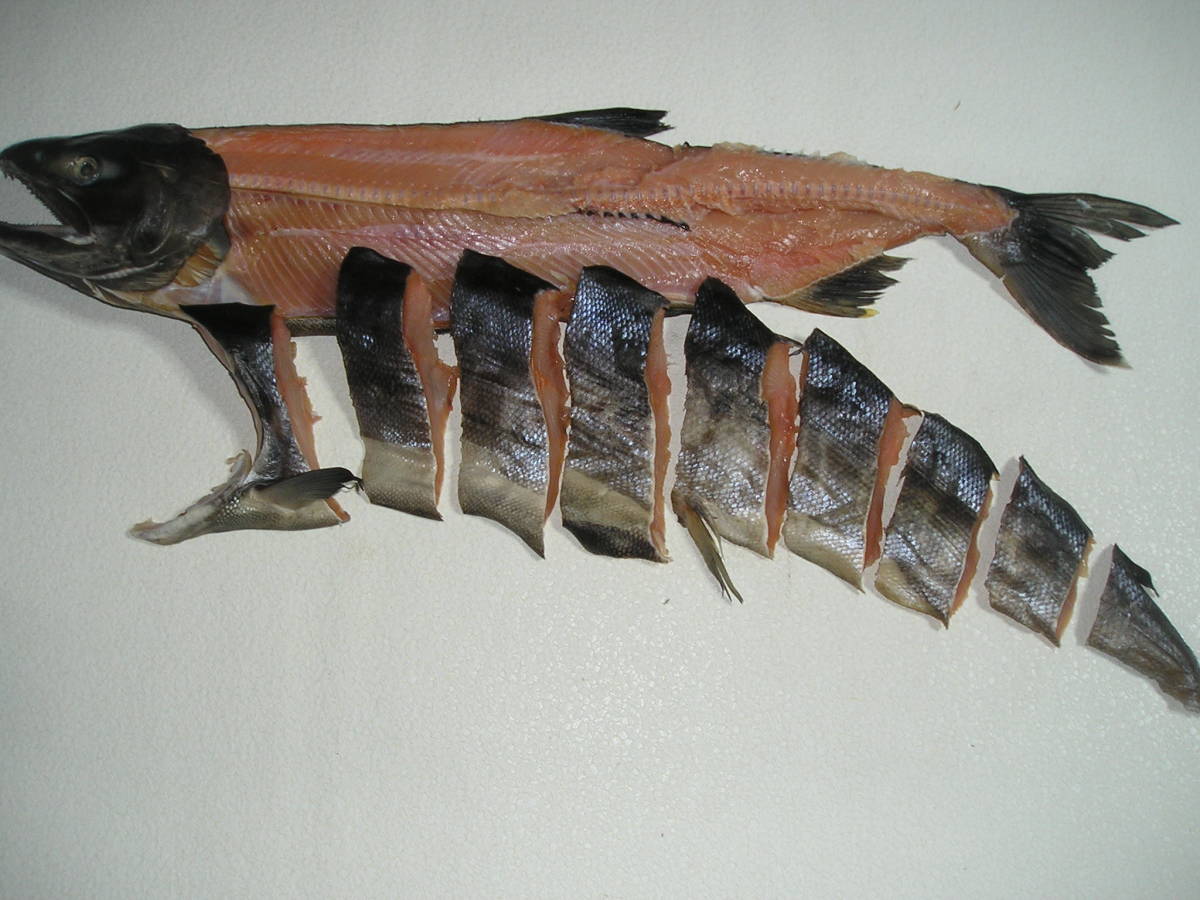 お試し超特価 運賃割安1.5K半身 村上産寒風干し新巻鮭切り込み加工 拍卖