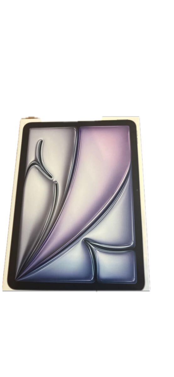 1円からAppleiPad Air M2 Wi-Fiモデル スペースグレイ拍卖