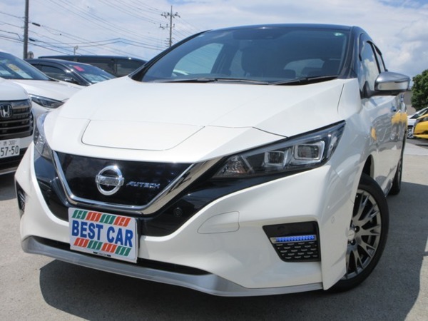 リーフ e+ AUTECH プロパイロット 純正ナビ フルセグTV 全拍卖