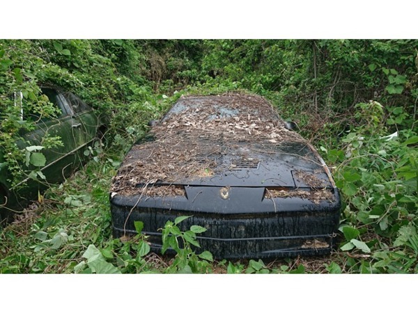 トランザム トランザムGTA トランザムGTA拍卖