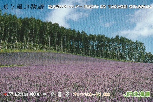 光と風の物語 富良野のラベンダー JR北海道オレンジカード拍卖