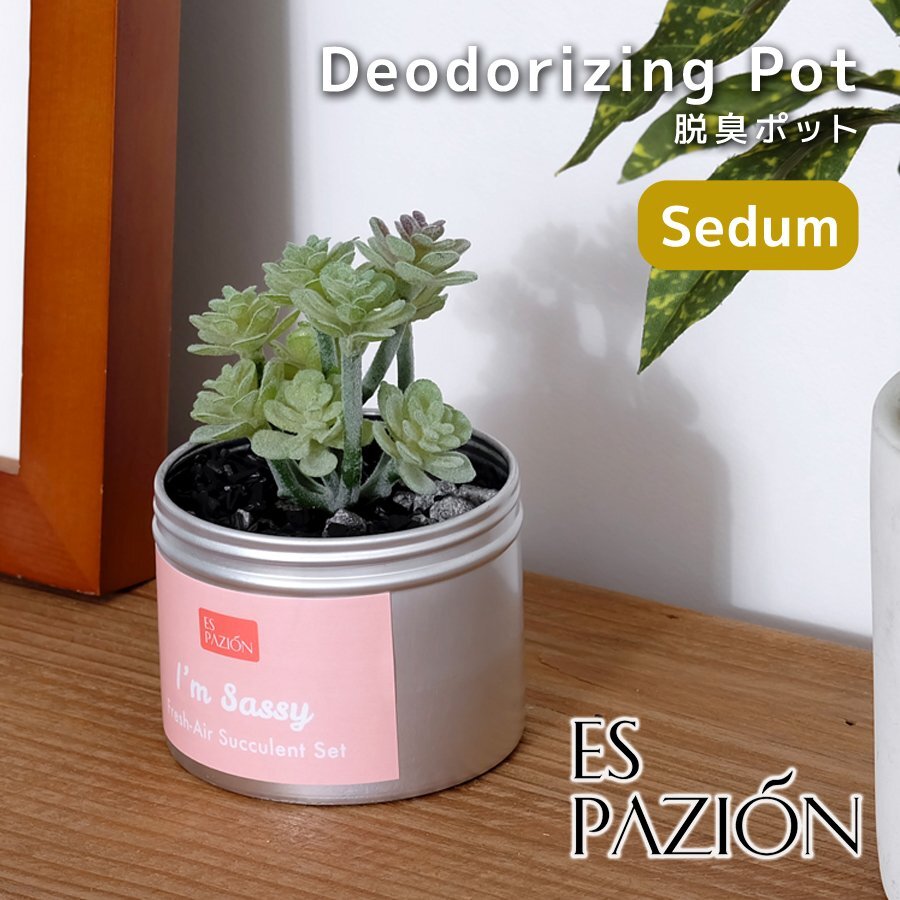 多肉植物 脱臭ポット Sedum 100g 脱臭剤 インテリア 雑貨 置物 サボテン オブジェ 空気清浄 脱臭炭 ゼオライト Fresh Air Succulent拍卖