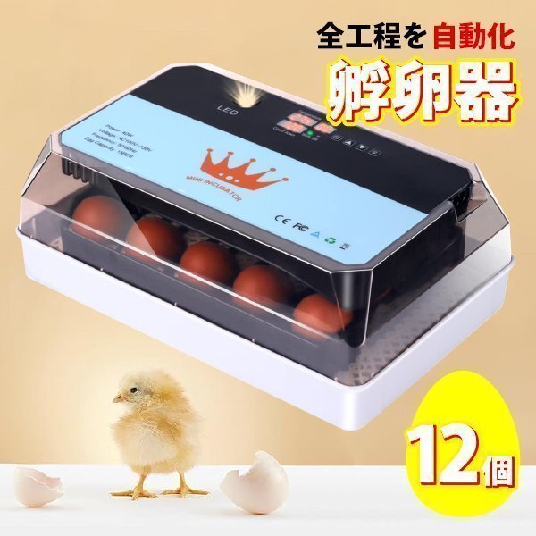 インキュベーター 自動孵卵器 ふか 鶏卵 12個 最大35個収容 恒温器 鳥類専用ふ卵器 孵化器 自動転卵式 アヒル 鶏卵 アヒル うずら拍卖