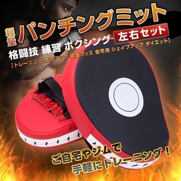 軽量 格闘技 練習用 パンチングミット 左右 セット ボクシング グローブ 空手 フィットネス ボクササイズ ダイエット ミット 練習 2個拍卖
